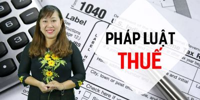 Pháp luật thuế