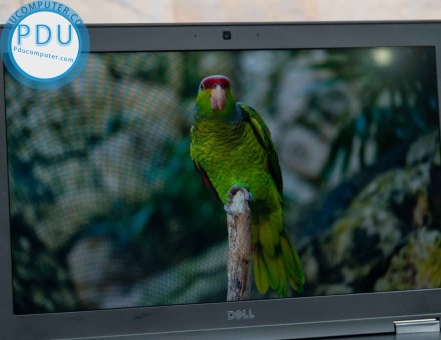 Laptop cũ Dell Precision 3520 Core i5*7300HQ| RAM 8GB| SSD 256GB| 15.6 inch FHD| Nvidia Quadro M620 2GB