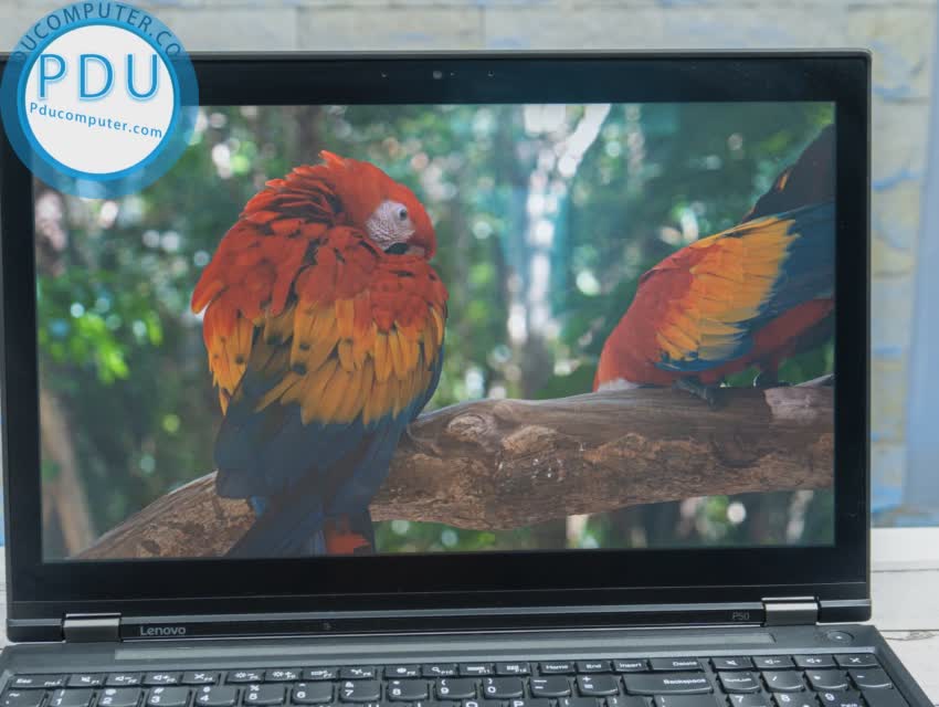 Laptop Cũ Lenovo ThinkPad P50 i7-6820HQ| RAM 8GB| SSD 256GB| Quadro M1000M FHD| 15.6 FHD
