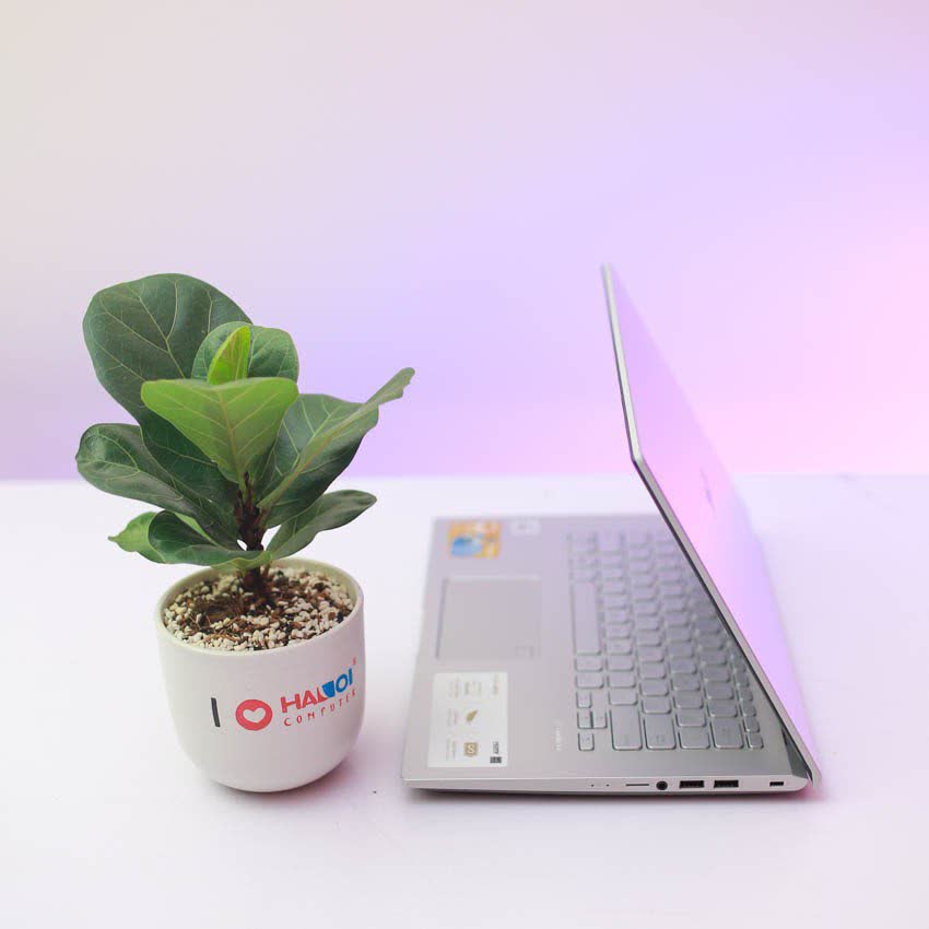 Laptop Asus D409DA-EK152T (R5 3500U/4GB RAM/256GB SSD/14 inch FHD/Win 10/Bạc)