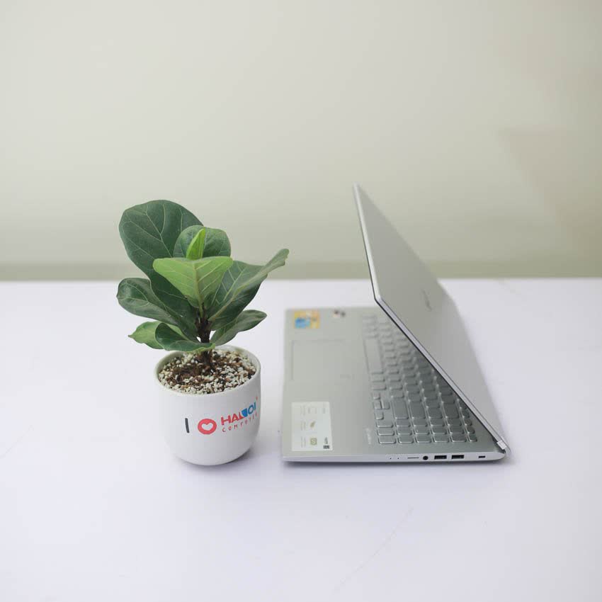 Laptop Asus D509DA-EJ286T (R5 3500U/4GB RAM/256GB SSD/15.6 inch FHD/Win 10/Bạc)