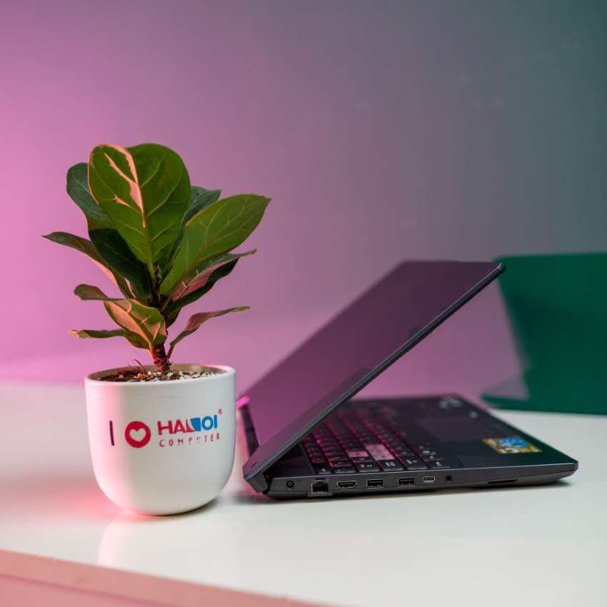 Laptop Asus Gaming TUF FA506II-AL012T (R5 4600H/8GB RAM/512GB SSD/15.6 inch FHD 144 Hz/GTX 1650Ti 4GB/Win10/Xám)