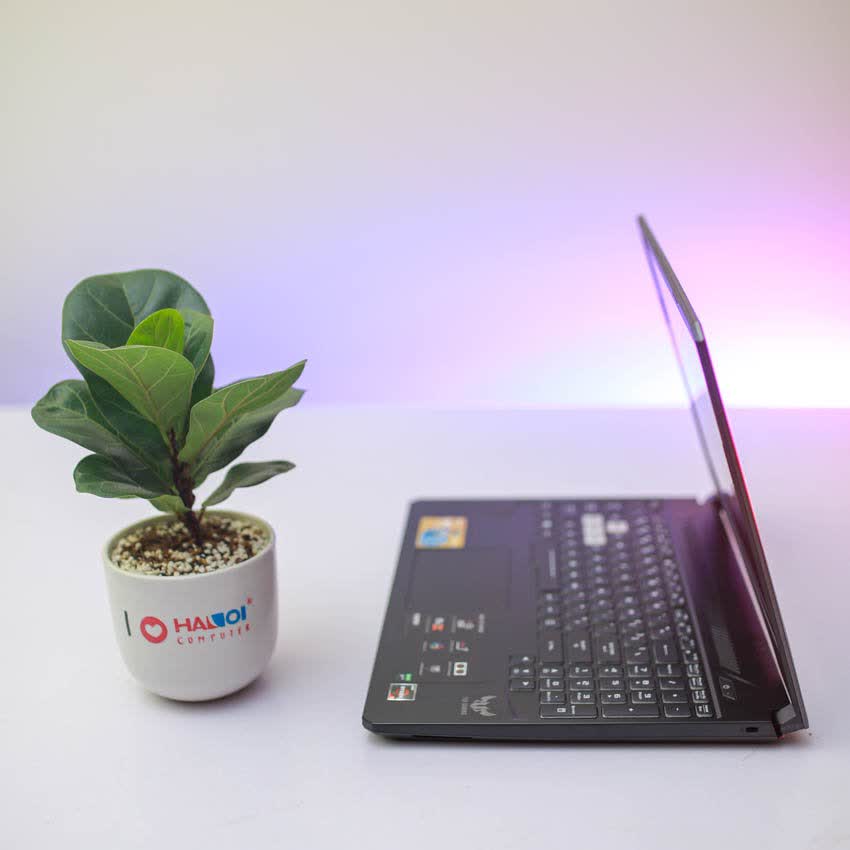 Laptop Asus Gaming TUF FX505DT-HN478T Ryzen7 3750H/8Gb/SSD 512/15.6 144hz/GTX 1650 4Gb/Win10/Xám