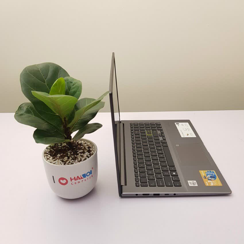 Laptop Asus VivoBook S533JQ-BQ085T (i5 1035G1/8GB RAM/512GB SSD/15.6 FHD/MX350 2GB/Win10/Đen)