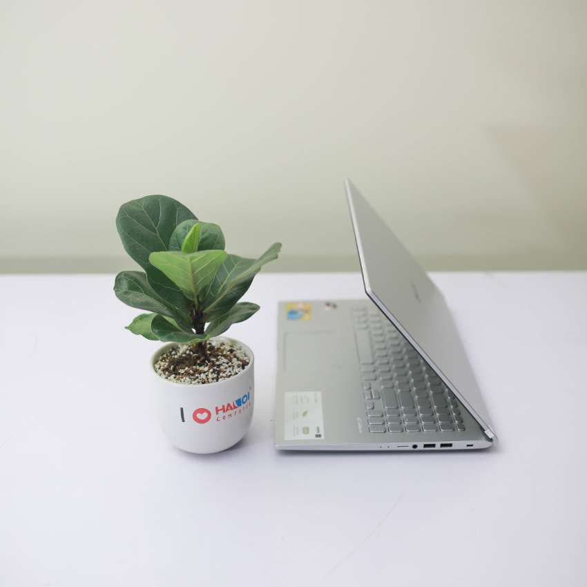 Laptop Asus X509JP-EJ013T (i5 1035G1/4G/512Gb SSD/15.6 inch FHD/MX330 2GB/Win 10/Bạc)