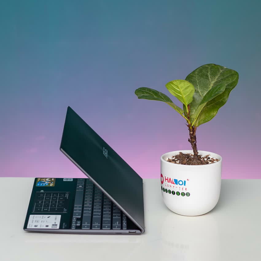 Laptop Asus ZenBook UX425EA-BM069T (i5 1135G7/8GB RAM/512GB SSD/14 FHD/Win10/Xám)