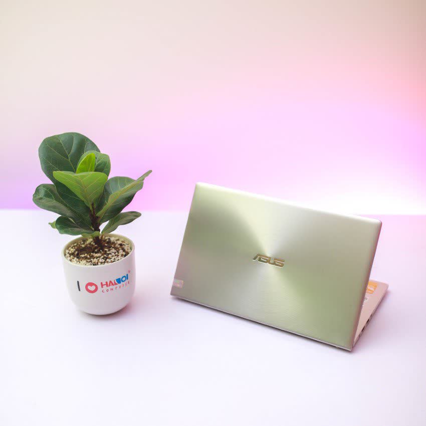 Laptop Asus ZenBook UX434FLC-A6212T (i5 10210U/8GB RAM/512GB SSD/14 inch FHD/MX250 2GB/Win 10/Bạc)