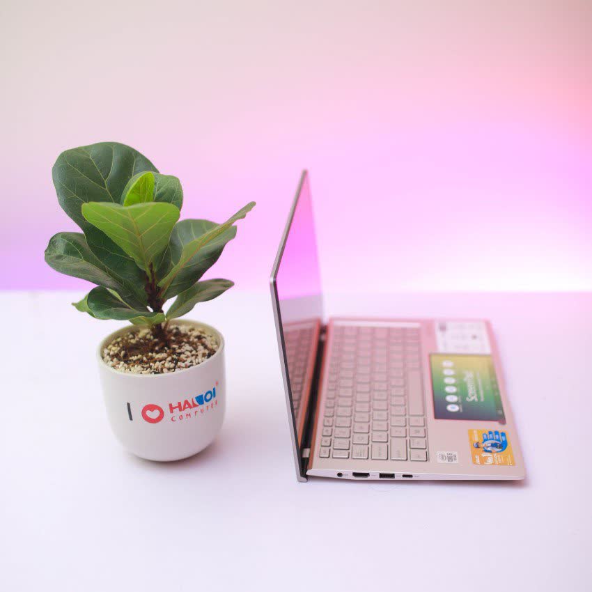 Laptop Asus ZenBook UX434FLC-A6212T (i5 10210U/8GB RAM/512GB SSD/14 inch FHD/MX250 2GB/Win 10/Bạc)