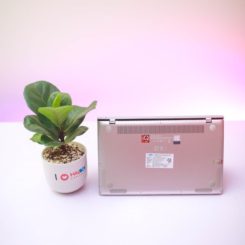 Laptop Asus ZenBook UX434FLC-A6212T (i5 10210U/8GB RAM/512GB SSD/14 inch FHD/MX250 2GB/Win 10/Bạc)