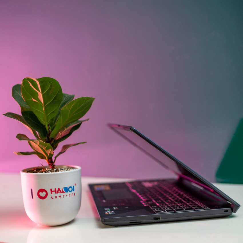 Laptop Gaming Asus TUF FA506IU-AL127T (R7 4800H/8GB RAM/512GB SSD/15.6 FHD 144Ghz/GTX1660Ti 6GB/Win10/Xám)