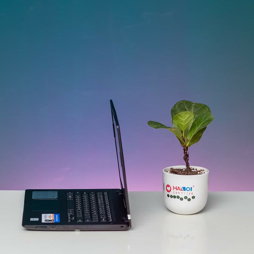 Laptop Dell Inspiron 3493 (N4I5122WA) (i5 1035G1/8G RAM/256GB SSD/14.0 inch FHD/ Win10/Đen)