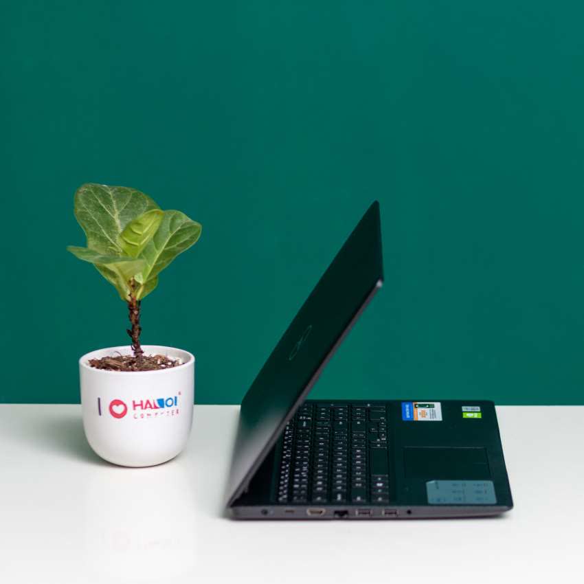 Laptop Dell Inspiron 3593C (P75F013N93C) (i3 1005G1/4GB RAM/256GB SSD/15.6 inch FHD/Win 10/Đen)