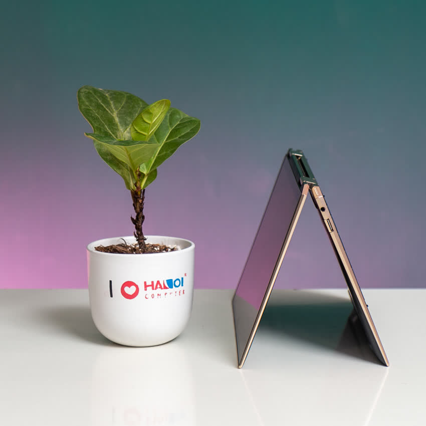 Laptop HP Spectre x360 Convertible 13-aw0181TU (8YQ35PA) (i7 1065G7/16GB RAM/512GB SSD/13.3 inch UHD/FP/Win 10)