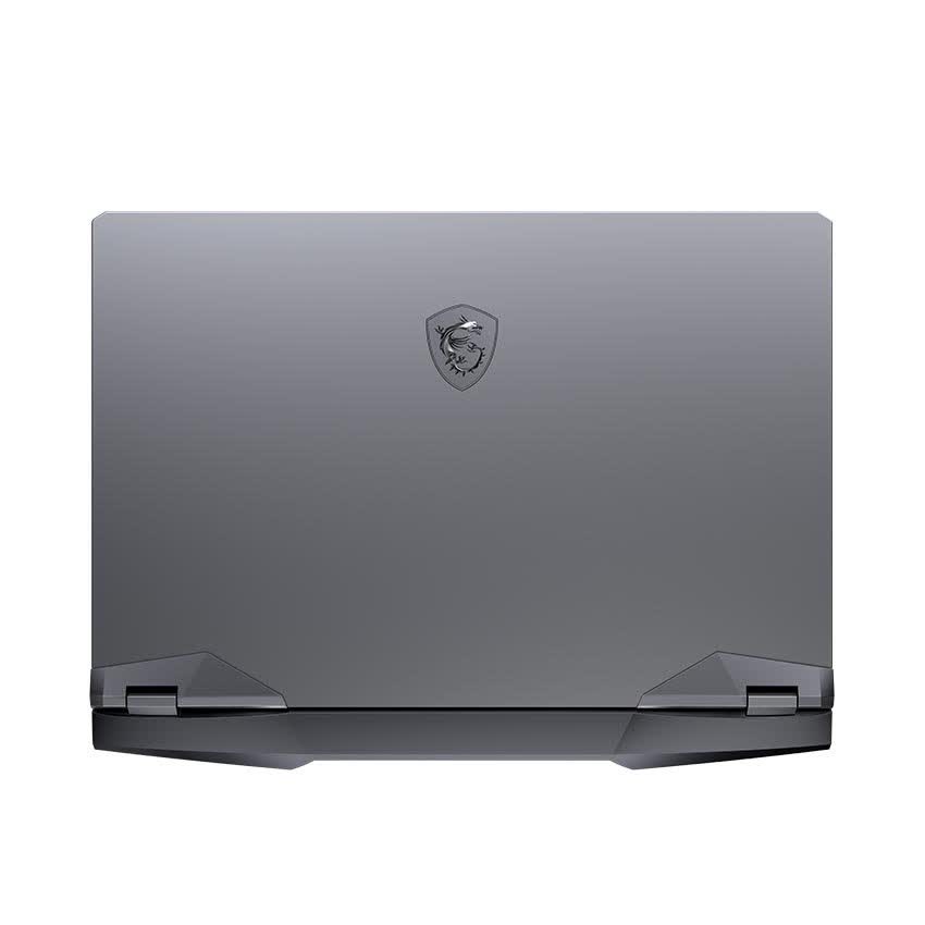 Laptop MSI Gaming GE66 Raider 10SF(044VN) (i7 10750H/16GB/1TB SSD/RTX 2070 8G/15.6 inch FHD 240Hz / Win10)