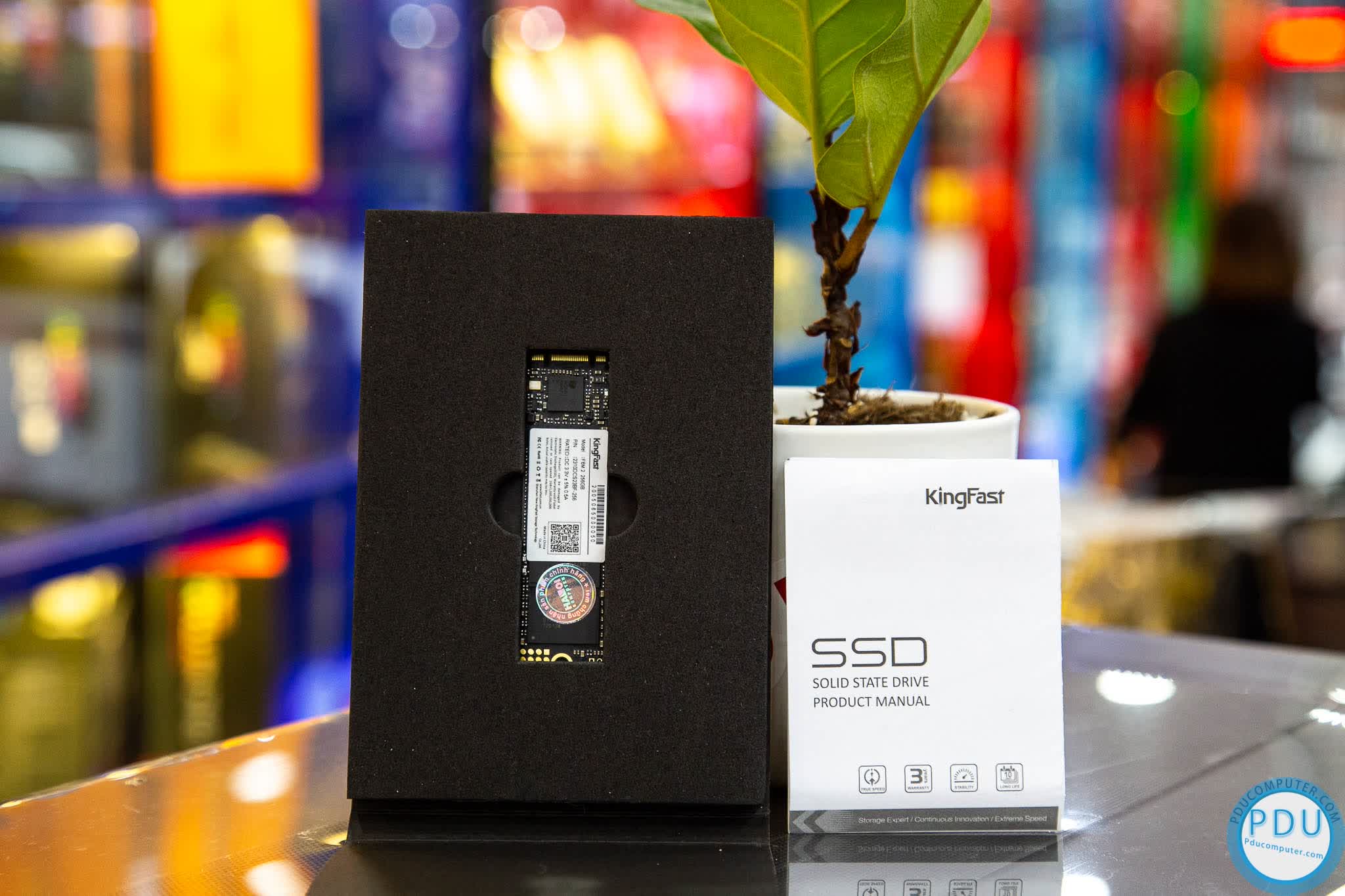 Ổ cứng SSD Kingfast F6M 256GB M.2 2280 (Đọc 550MB/s - Ghi 450MB/s)