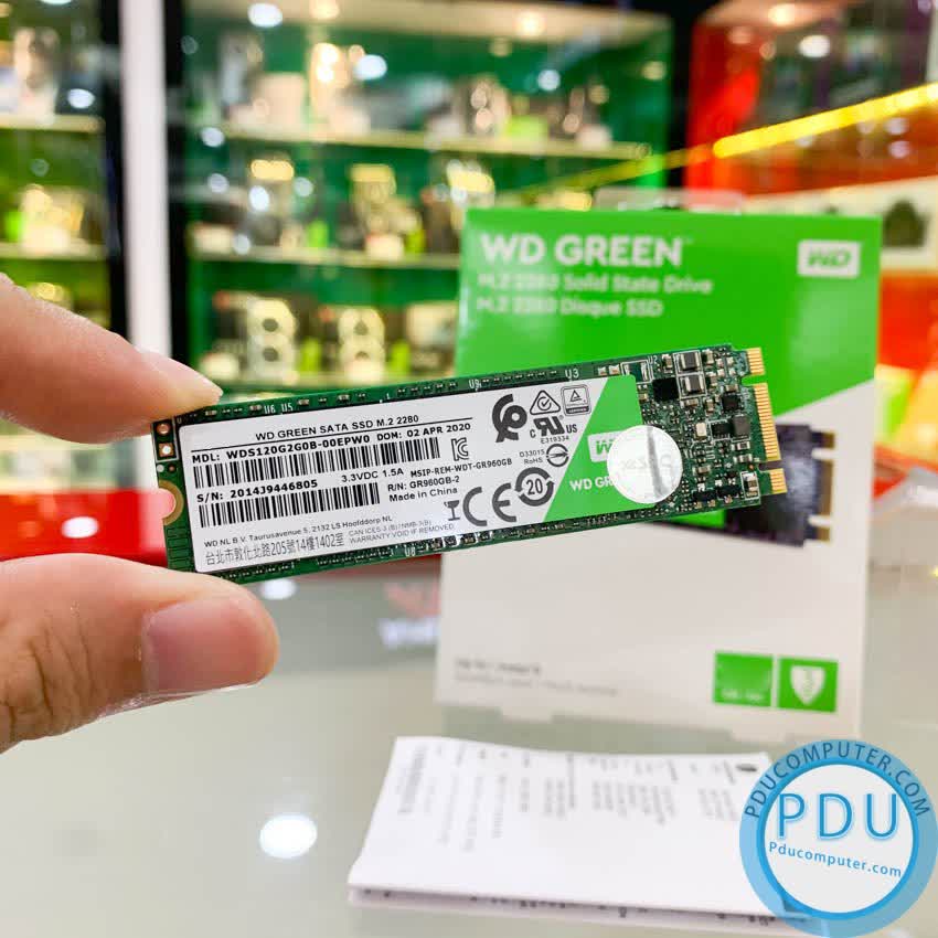 Ổ cứng SSD WD Green 240GB M.2 2280  (Đọc 545MB/s - Ghi 430MB/s) - (WDS240G2G0B)
