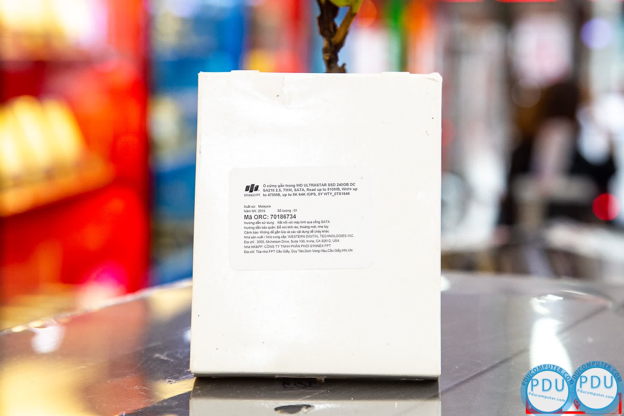 Ổ cứng SSD WD Ultrastar DC SA210 (240GB/2.5 inch/SATA/Đọc 510 MiB/s, Ghi 475 MiB/s) (0TS1649)