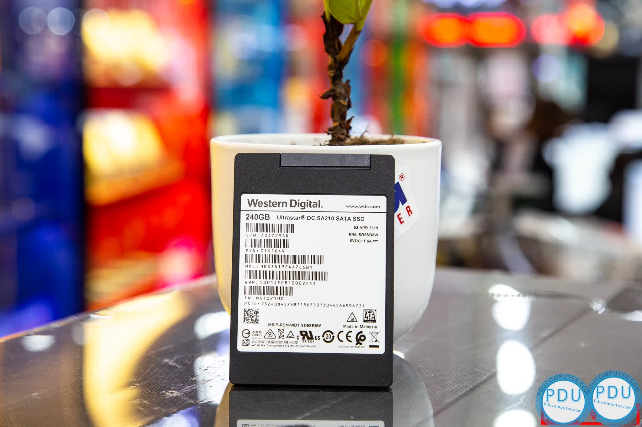 Ổ cứng SSD WD Ultrastar DC SA210 (240GB/2.5 inch/SATA/Đọc 510 MiB/s, Ghi 475 MiB/s) (0TS1649)