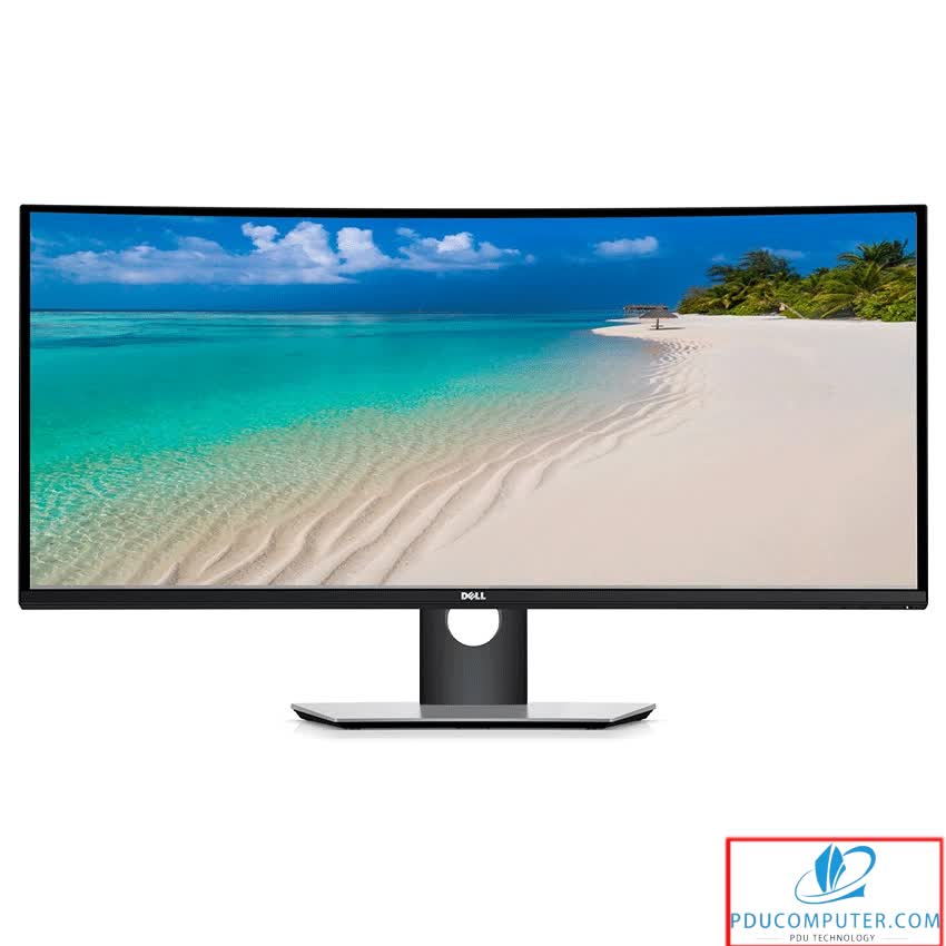 Màn hình Dell Ultrasharp P4317Q (43 inch/4K/IPS/DP+HDMI+VGA/60Hz/8ms)