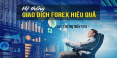 Hệ thống giao dịch Forex hiệu quả 