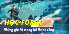 Học Forex - Những giá trị mang lại thành công