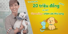 Thu nhập trên 20 triệu đồng 1 tháng với nghề Grooming - chăm sóc thú cưng