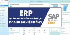ERP Quản trị nguồn lực doanh nghiệp bằng SAP Business One