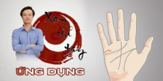 Xem chỉ tay ứng dụng