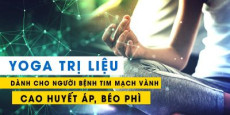 Yoga trị liệu dành cho người bệnh Tim mạch vành, cao huyết áp, béo phì