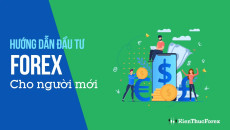 đầu tư forex cho người mới bắt đầu