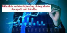 Kiến thức cơ bản thị trường chứng khoán cho người mới bắt đầu