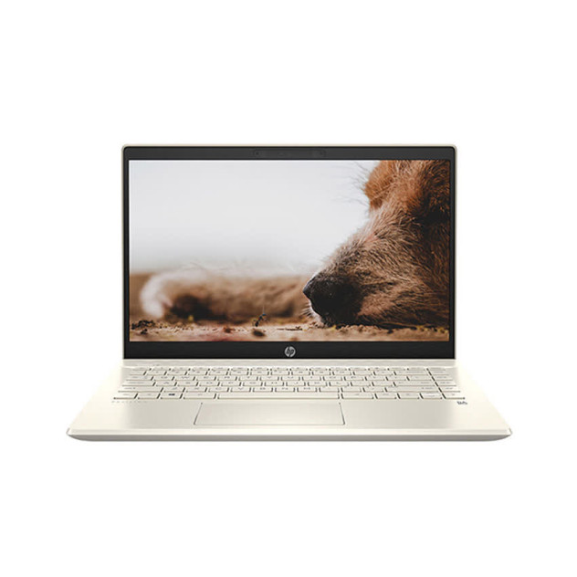 giới thiệu tổng quan Laptop HP Pavilion 14-dv0005TU (2D7A1PA) ( i3-1115G4/4GB RAM/256GB SSD/14 FHD/Win10/Office/Vàng)