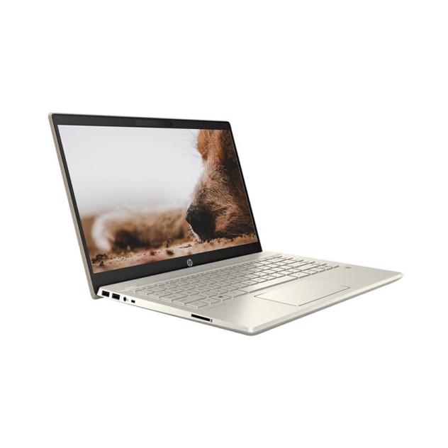 ngoài hình Laptop HP Pavilion 14-dv0013TU (2D7B8PA) ( i7-1165G7/8GB RAM/512GB SSD/14 FHD/Win10/Office/Vàng)